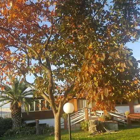 Le Cinque Querce