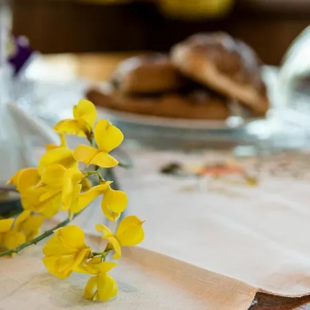 Alojamento de Acomodação e Pequeno-almoço Le Cinque Querce Viterbo