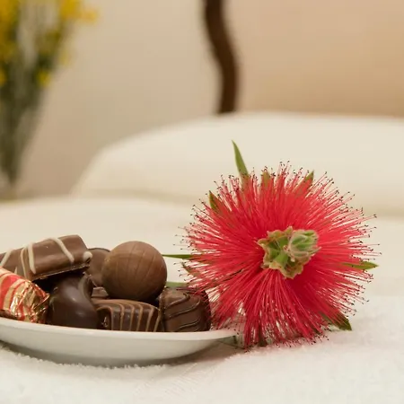 Le Cinque Querce 维泰博