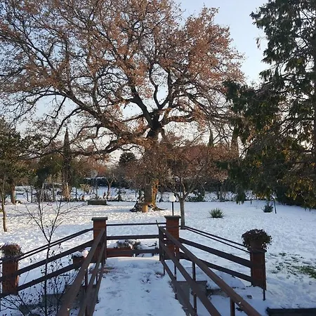 Le Cinque Querce 维泰博