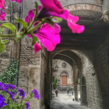 Le Cinque Querce 住宿加早餐酒店 3*