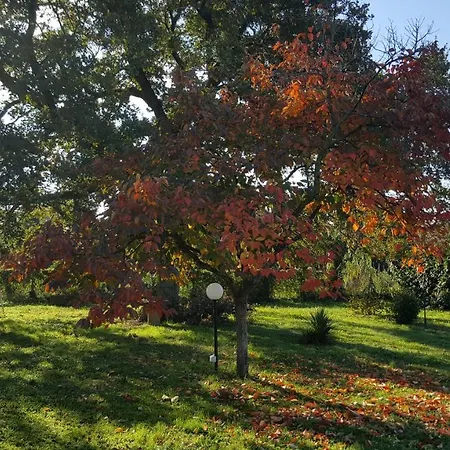 Le Cinque Querce * Viterbo
