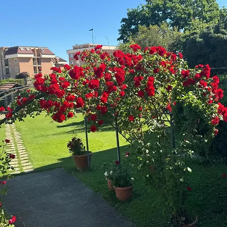 Bed & Breakfast Le Cinque Querce *