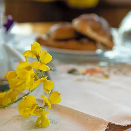 Bed & Breakfast Le Cinque Querce Viterbo