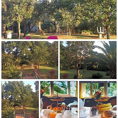 Le Cinque Querce 3* Viterbo