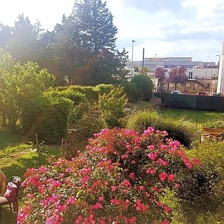 Le Cinque Querce Bed & Breakfast