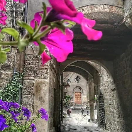 Le Cinque Querce Bed & Breakfast Viterbo