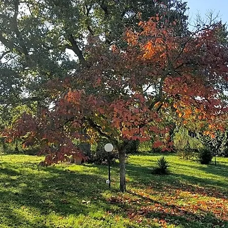 Le Cinque Querce