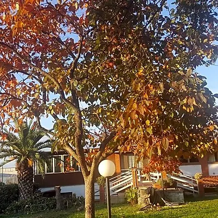 Le Cinque Querce 3*