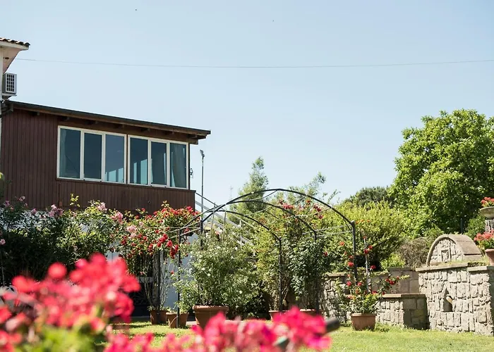 Bed and Breakfast Le Cinque Querce Βιτέρμπο