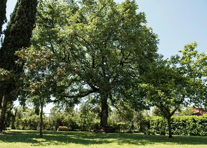 Le Cinque Querce 3* Βιτέρμπο