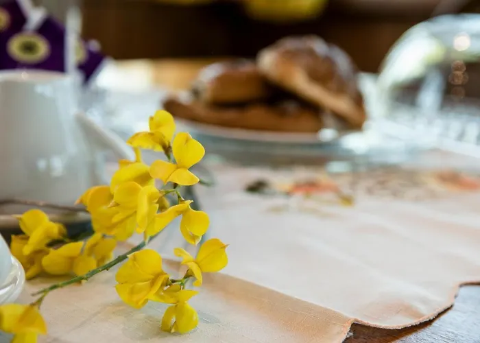 Alojamento de Acomodação e Pequeno-almoço Le Cinque Querce Viterbo