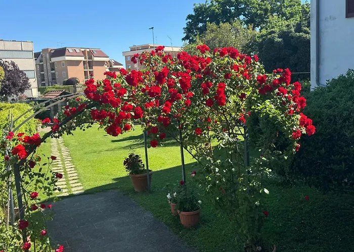 Alojamento de Acomodação e Pequeno-almoço Le Cinque Querce 3*